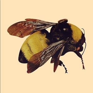 Meet your Posher, Elijah